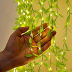 BloomLights