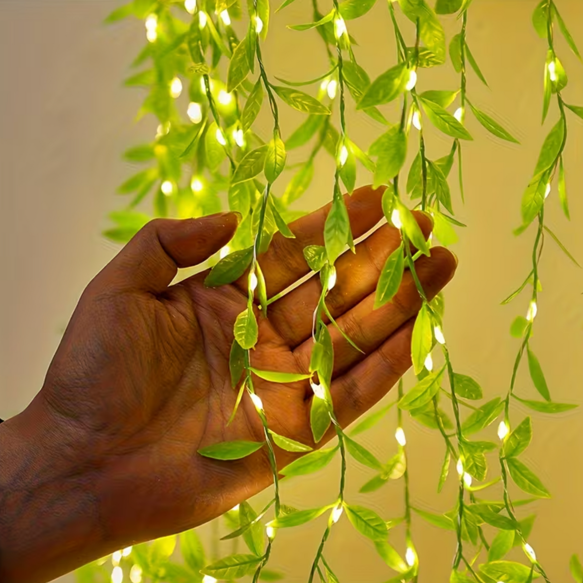 BloomLights