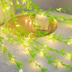 BloomLights