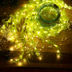 BloomLights